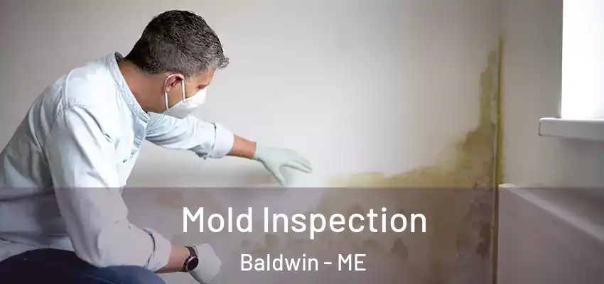  Mold Inspection Baldwin - ME