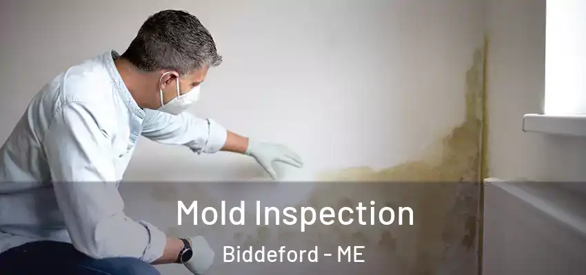  Mold Inspection Biddeford - ME