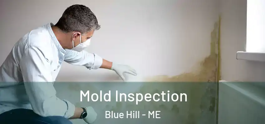 Mold Inspection Blue Hill - ME