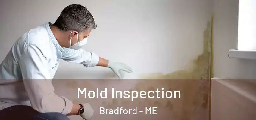 Mold Inspection Bradford - ME