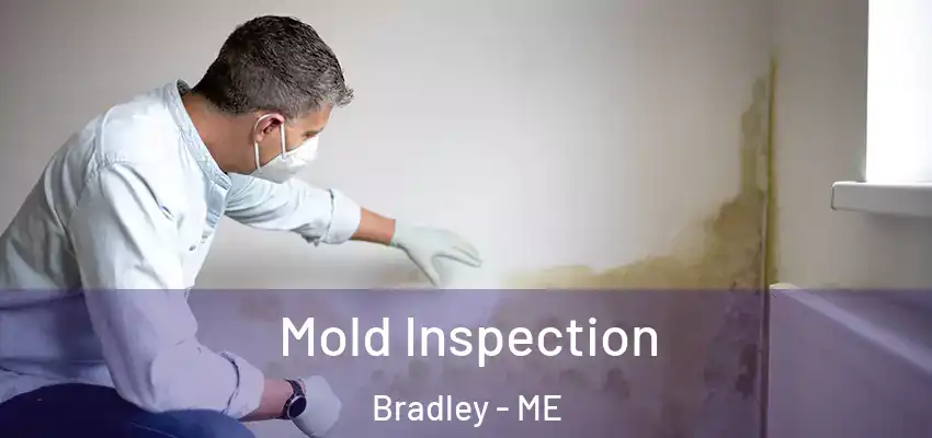  Mold Inspection Bradley - ME