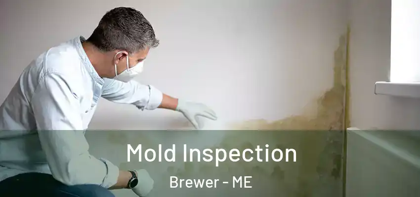  Mold Inspection Brewer - ME