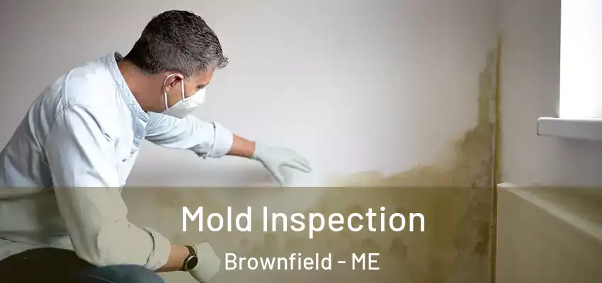 Mold Inspection Brownfield - ME