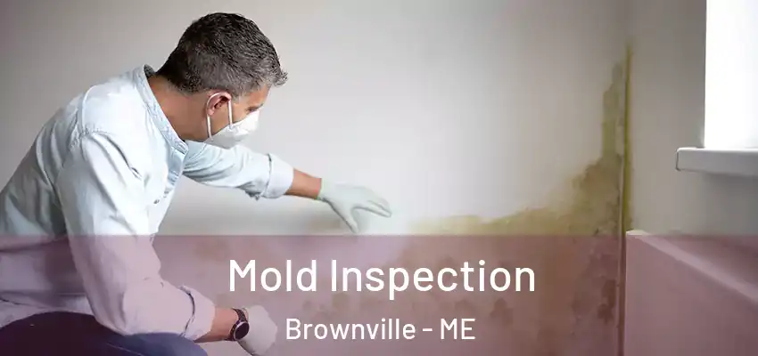 Mold Inspection Brownville - ME