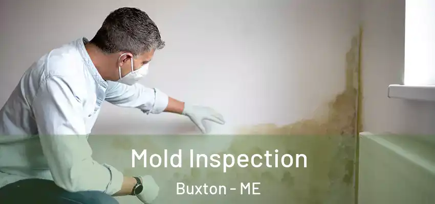  Mold Inspection Buxton - ME