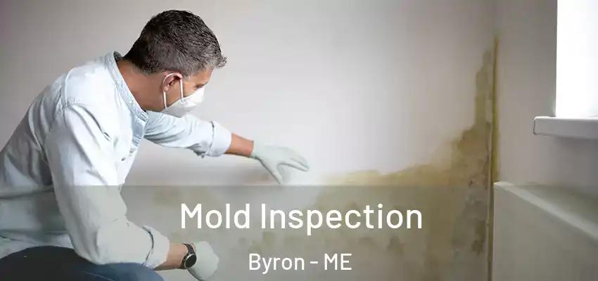  Mold Inspection Byron - ME
