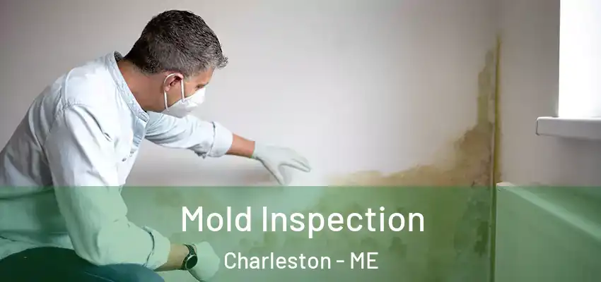 Mold Inspection Charleston - ME