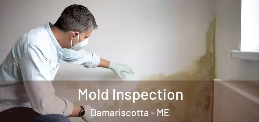  Mold Inspection Damariscotta - ME