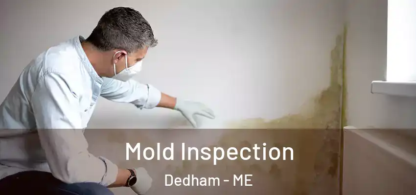 Mold Inspection Dedham - ME