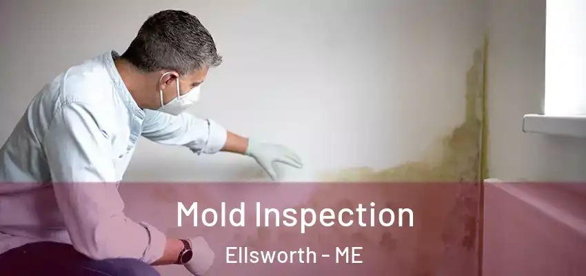  Mold Inspection Ellsworth - ME