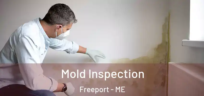  Mold Inspection Freeport - ME