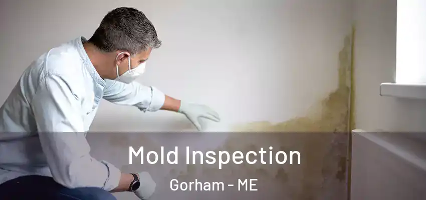 Mold Inspection Gorham - ME