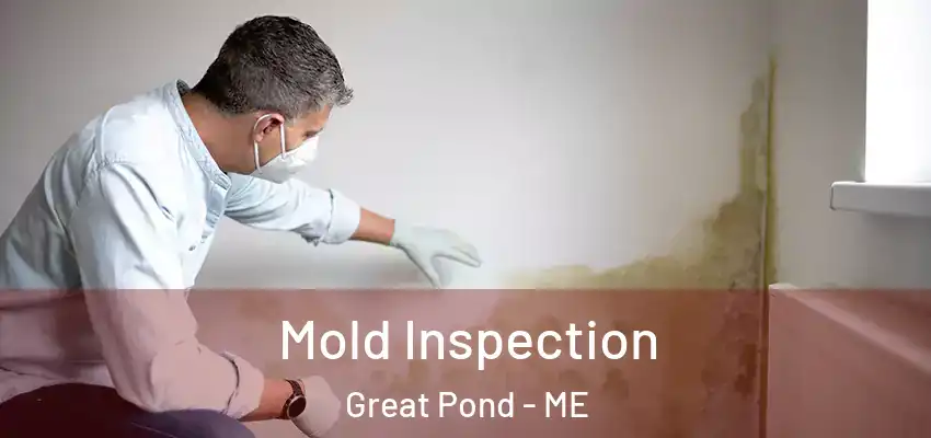 Mold Inspection Great Pond - ME