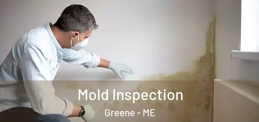  Mold Inspection Greene - ME