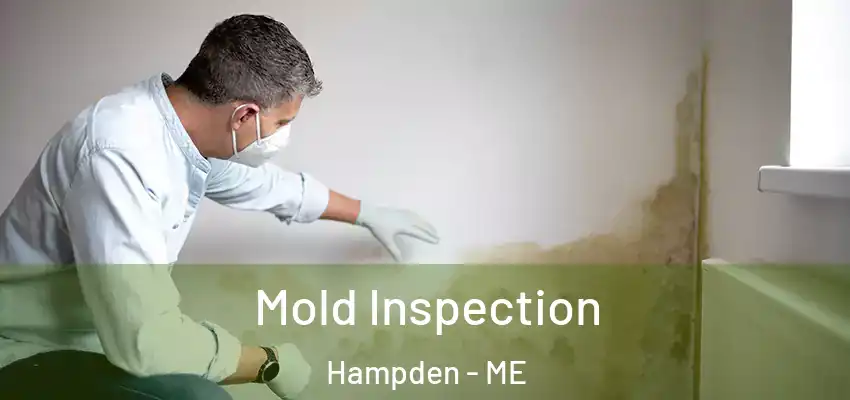  Mold Inspection Hampden - ME