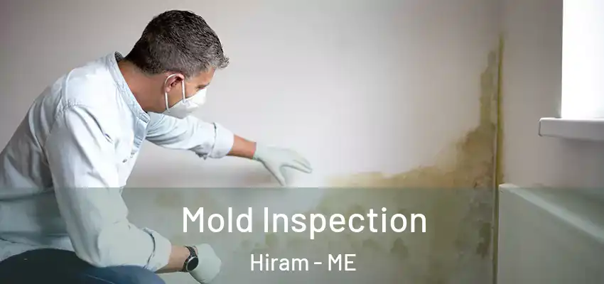  Mold Inspection Hiram - ME