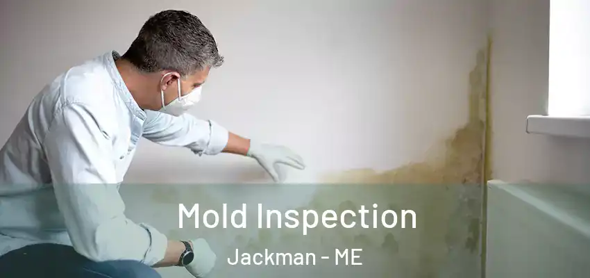  Mold Inspection Jackman - ME