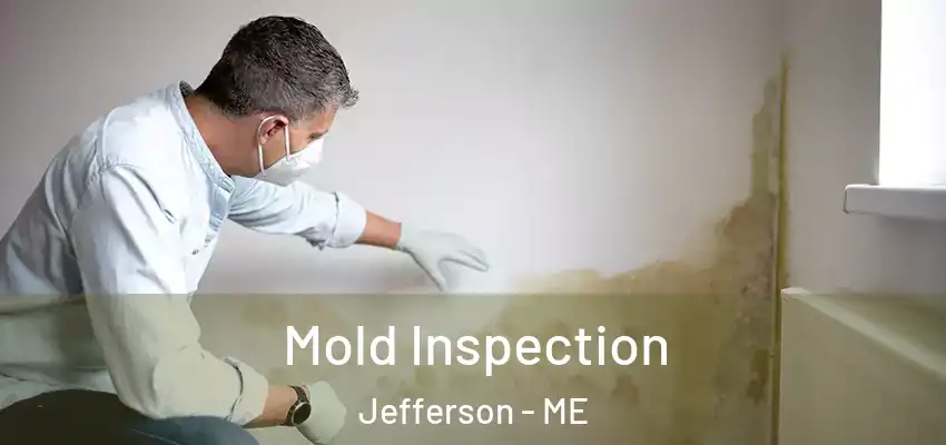 Mold Inspection Jefferson - ME