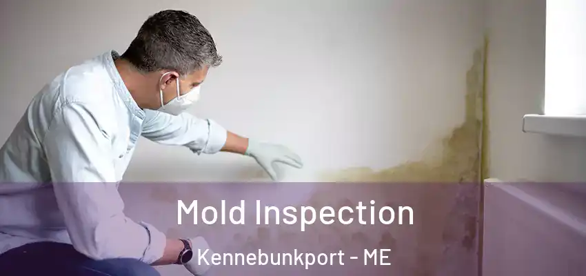  Mold Inspection Kennebunkport - ME
