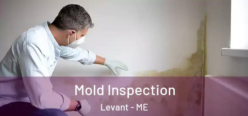  Mold Inspection Levant - ME