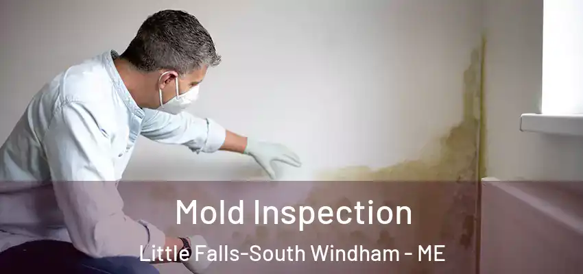 Mold Inspection Little Falls-South Windham - ME