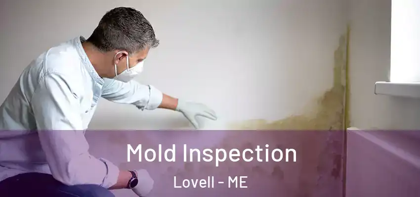 Mold Inspection Lovell - ME