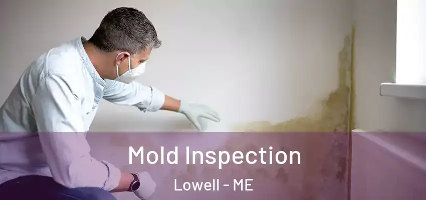 Mold Inspection Lowell - ME