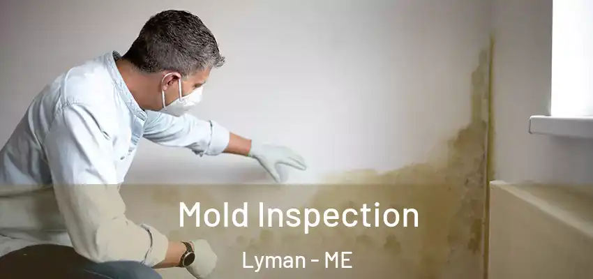  Mold Inspection Lyman - ME