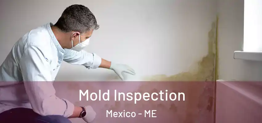 Mold Inspection Mexico - ME