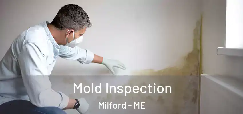  Mold Inspection Milford - ME