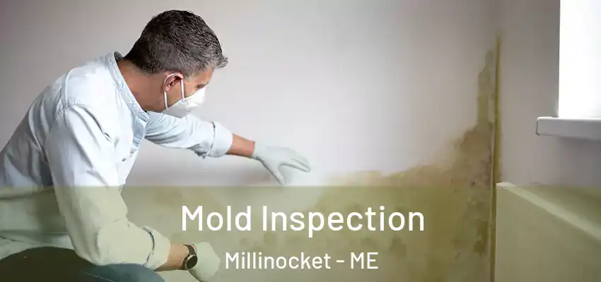  Mold Inspection Millinocket - ME