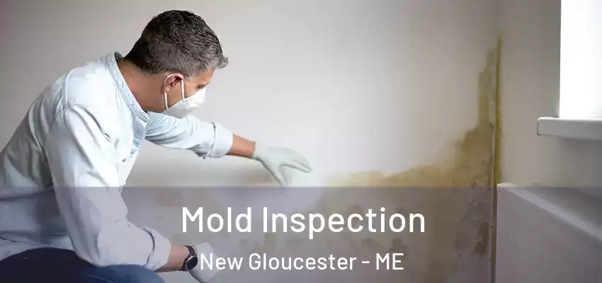  Mold Inspection New Gloucester - ME