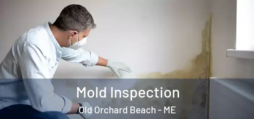  Mold Inspection Old Orchard Beach - ME