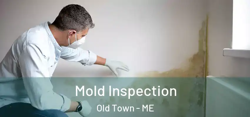 Mold Inspection Old Town - ME