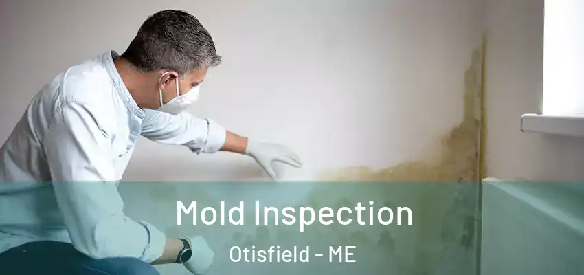  Mold Inspection Otisfield - ME