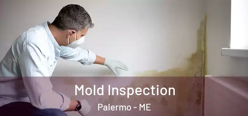 Mold Inspection Palermo - ME
