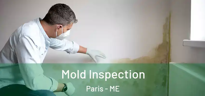  Mold Inspection Paris - ME