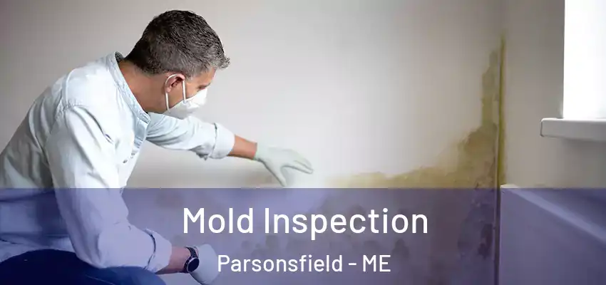 Mold Inspection Parsonsfield - ME