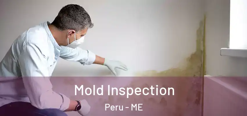 Mold Inspection Peru - ME