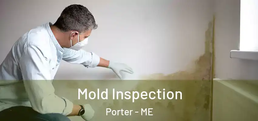  Mold Inspection Porter - ME