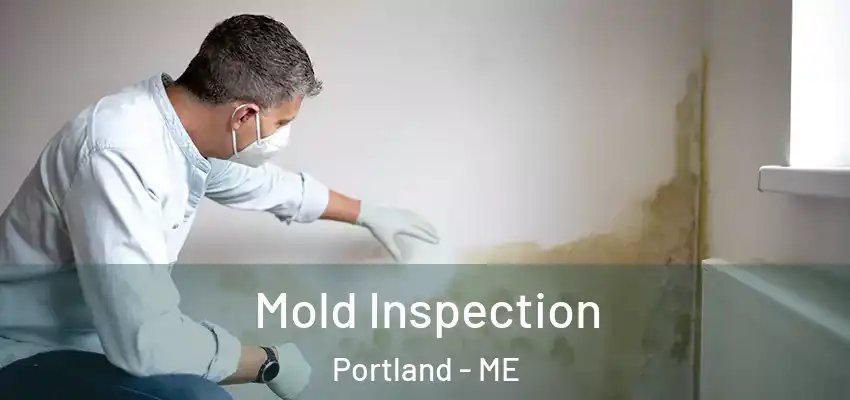  Mold Inspection Portland - ME