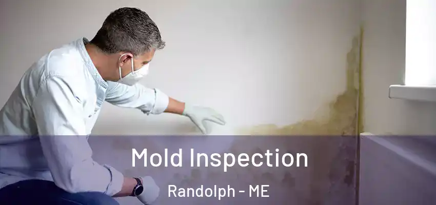  Mold Inspection Randolph - ME