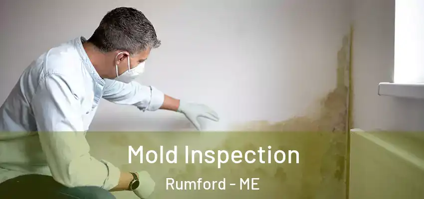  Mold Inspection Rumford - ME