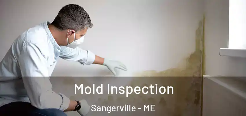  Mold Inspection Sangerville - ME