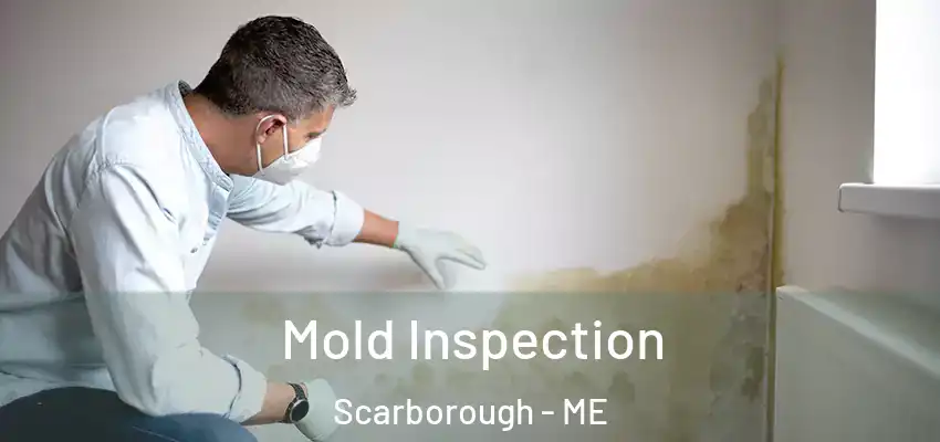  Mold Inspection Scarborough - ME