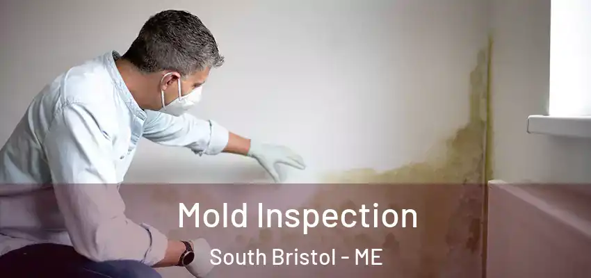 Mold Inspection South Bristol - ME