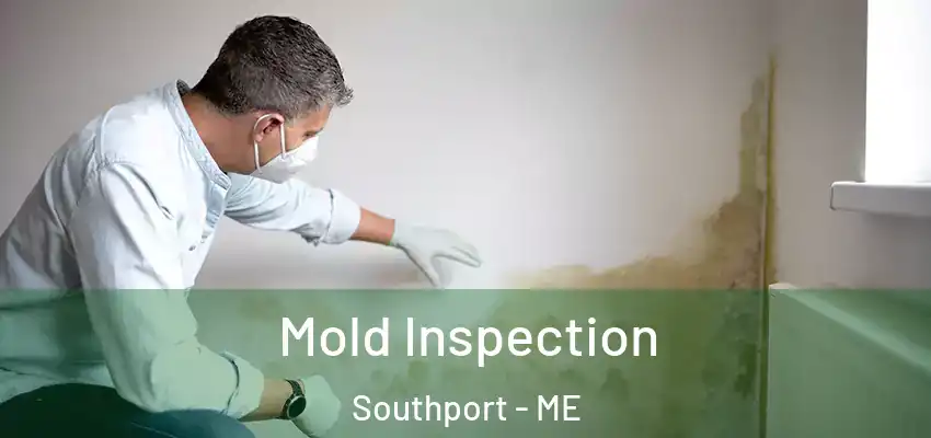 Mold Inspection Southport - ME