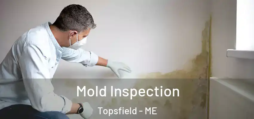  Mold Inspection Topsfield - ME