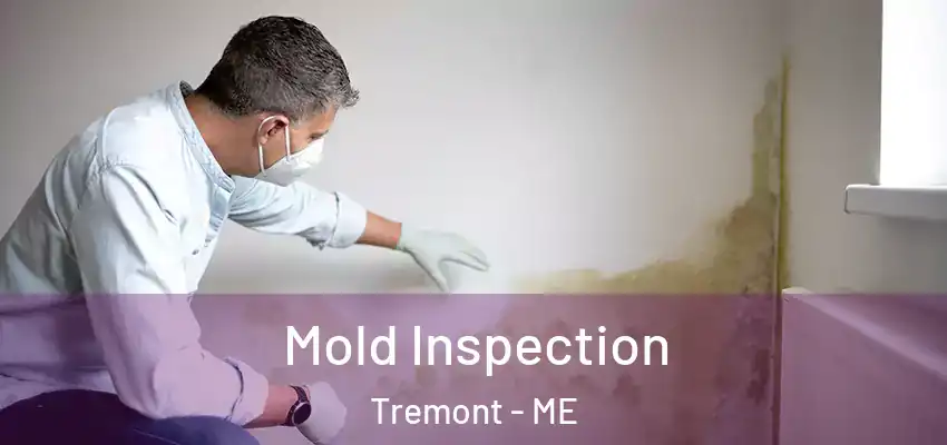Mold Inspection Tremont - ME