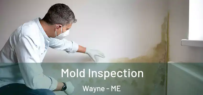 Mold Inspection Wayne - ME